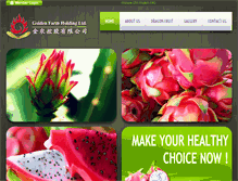 Tablet Screenshot of itgfd.com